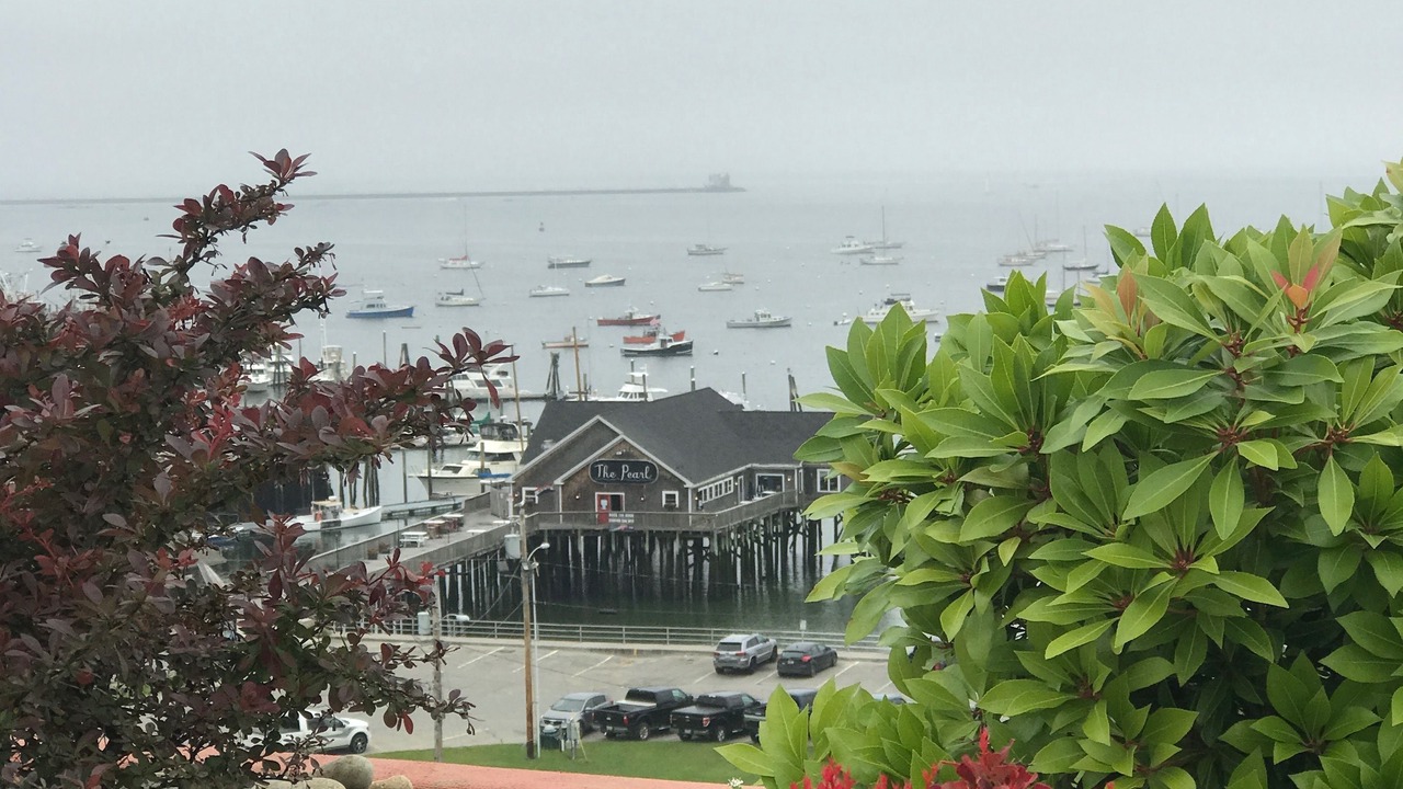 Photo of Others in Rockland