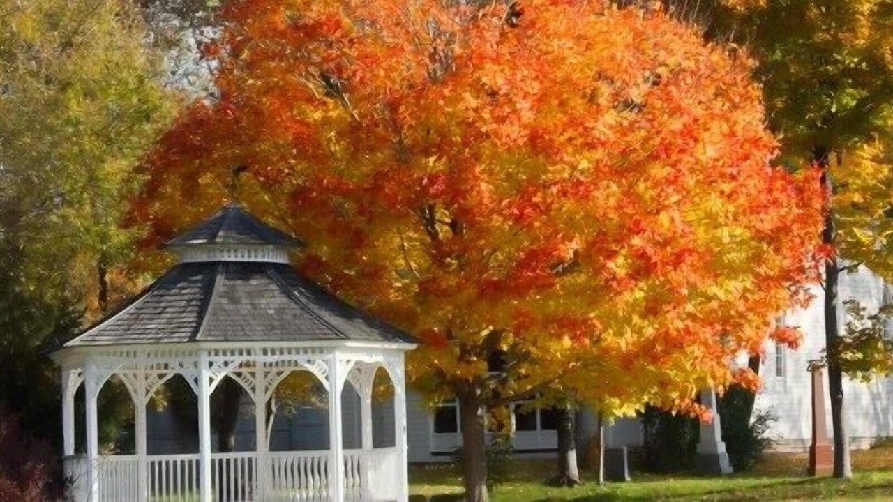 Photo of Outdoor in Grafton