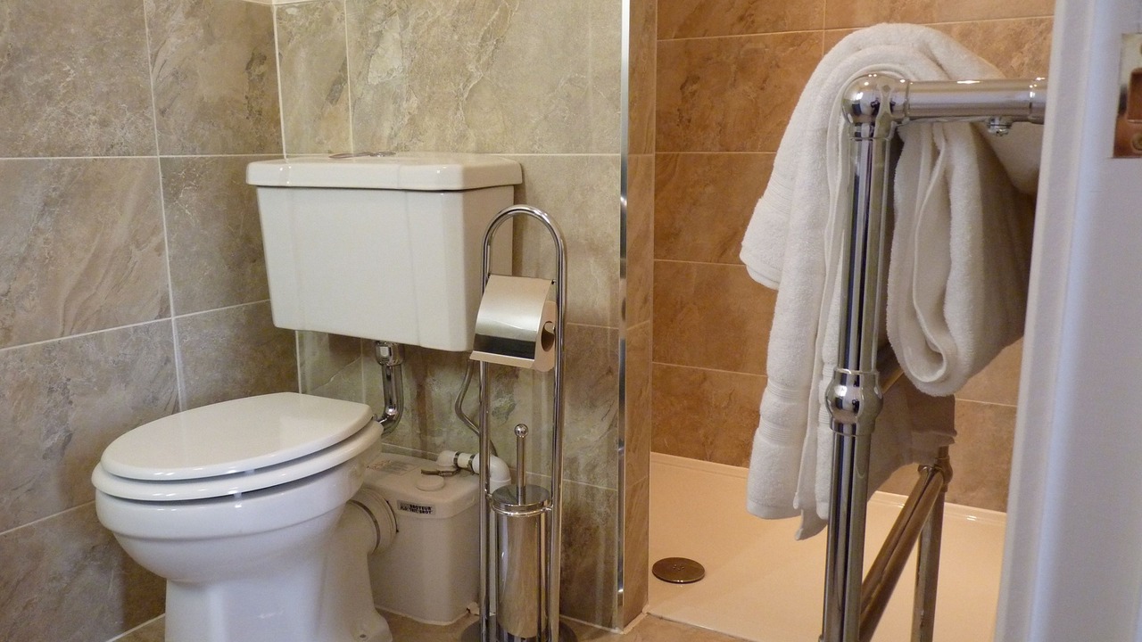 Photo of Bathroom in Dalavich