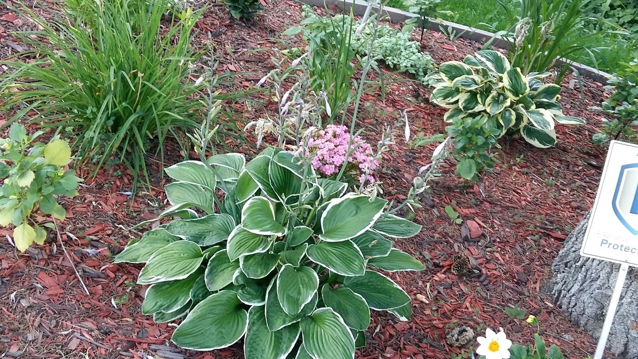 Photo of Outdoor in Saskatoon