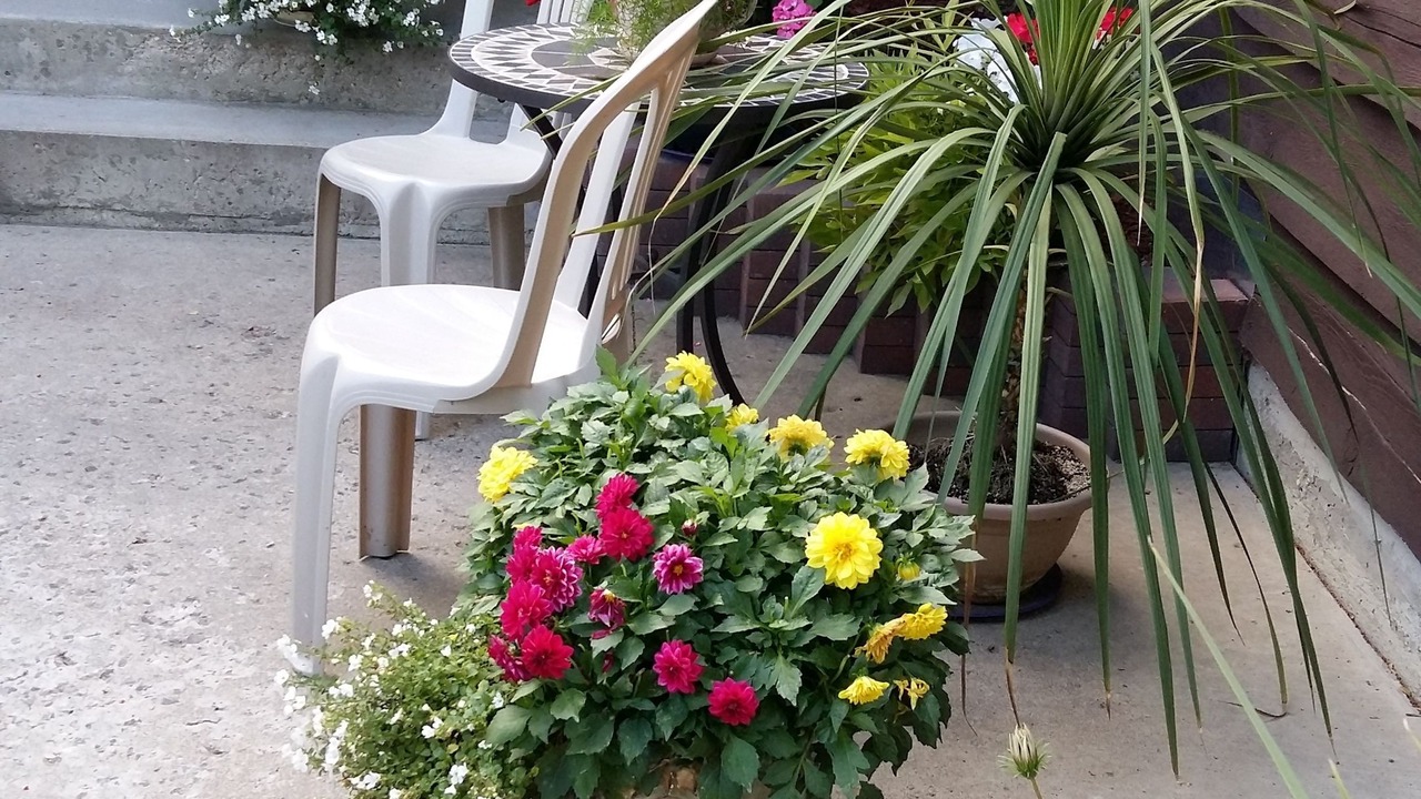 Photo of Patio Balcony in Saskatoon