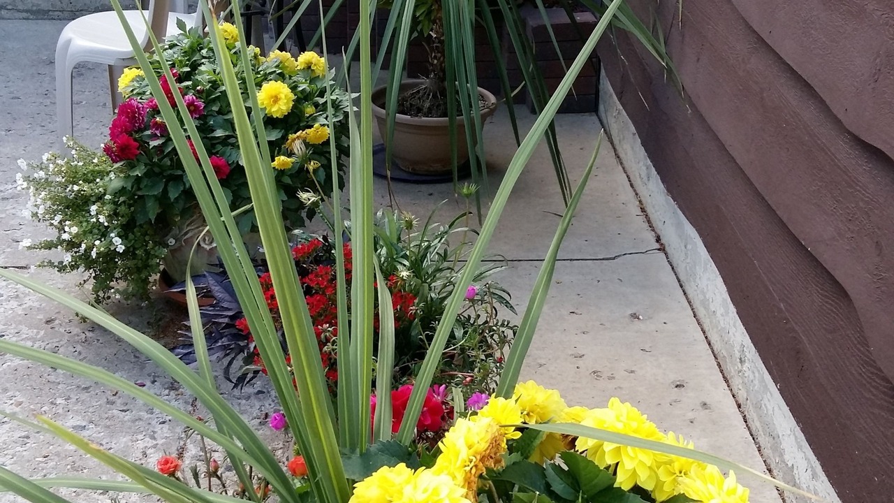 Photo of Patio Balcony in Saskatoon