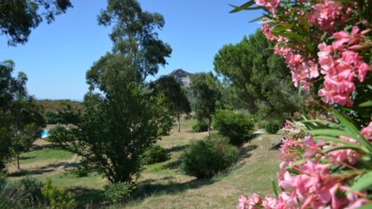 Photo of Outdoor in Olmeta-di-Tuda