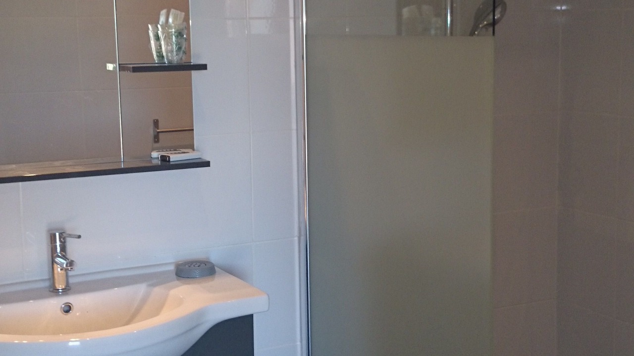 Photo of Bathroom in Olmeta-di-Tuda