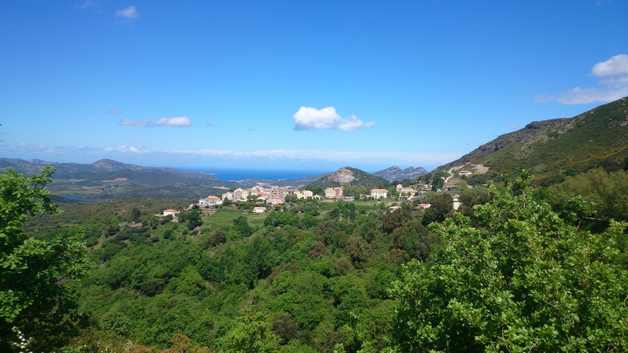 Photo of Others in Olmeta-di-Tuda