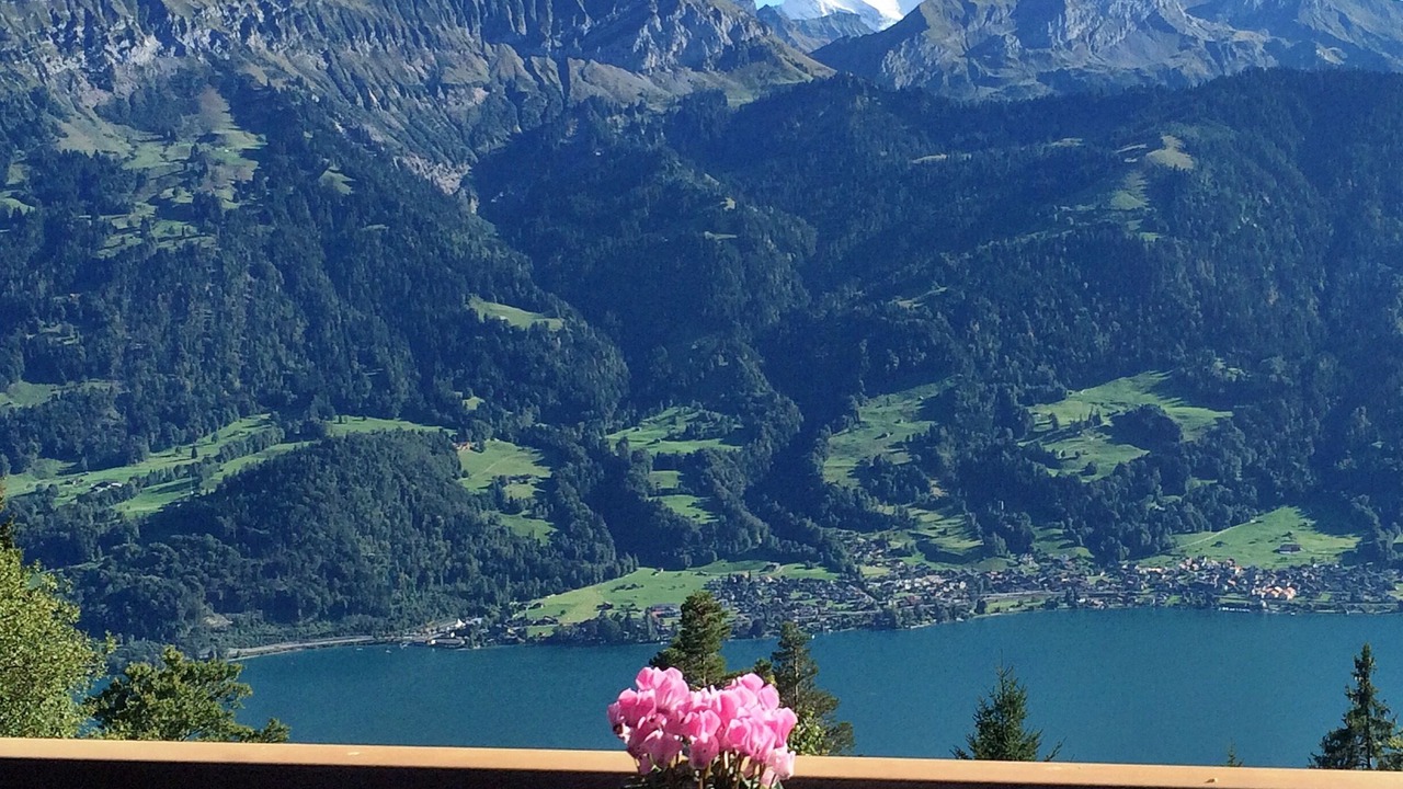 Photo of Patio Balcony in Beatenberg