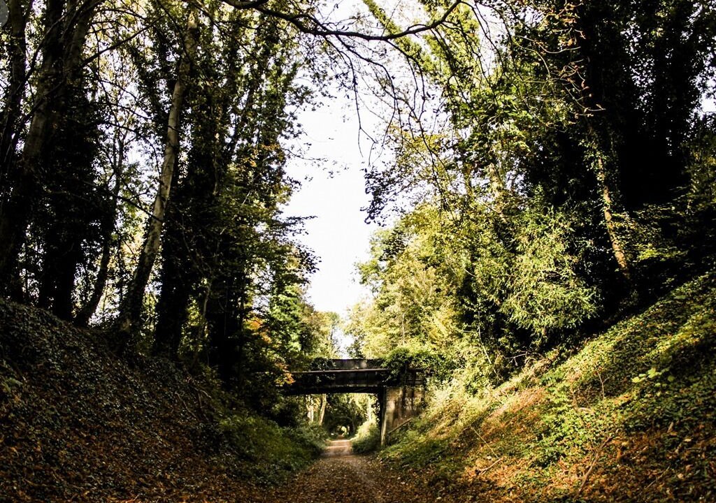 Photo of Others in West Meon