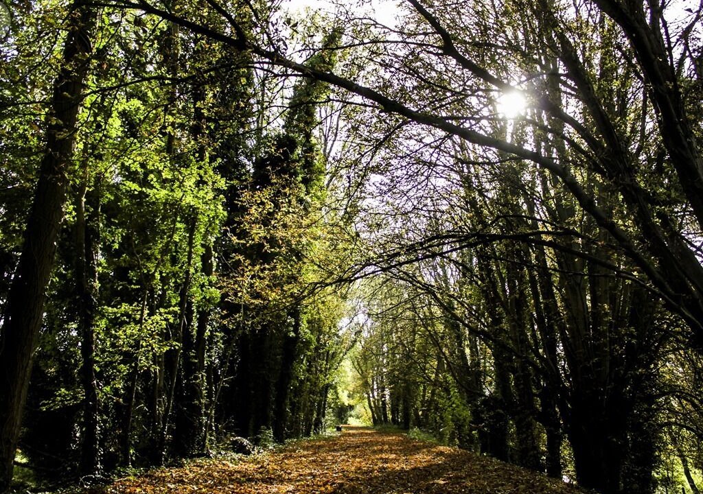 Photo of Others in West Meon