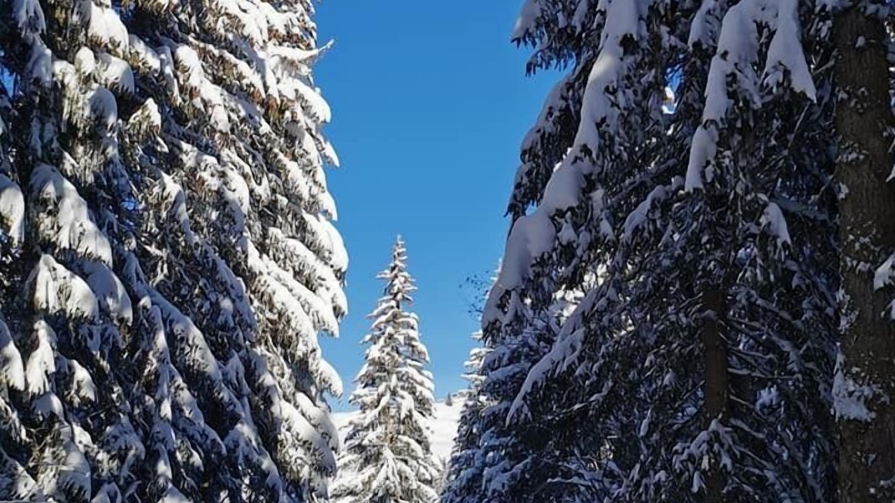 Photo of Outdoor in Thones