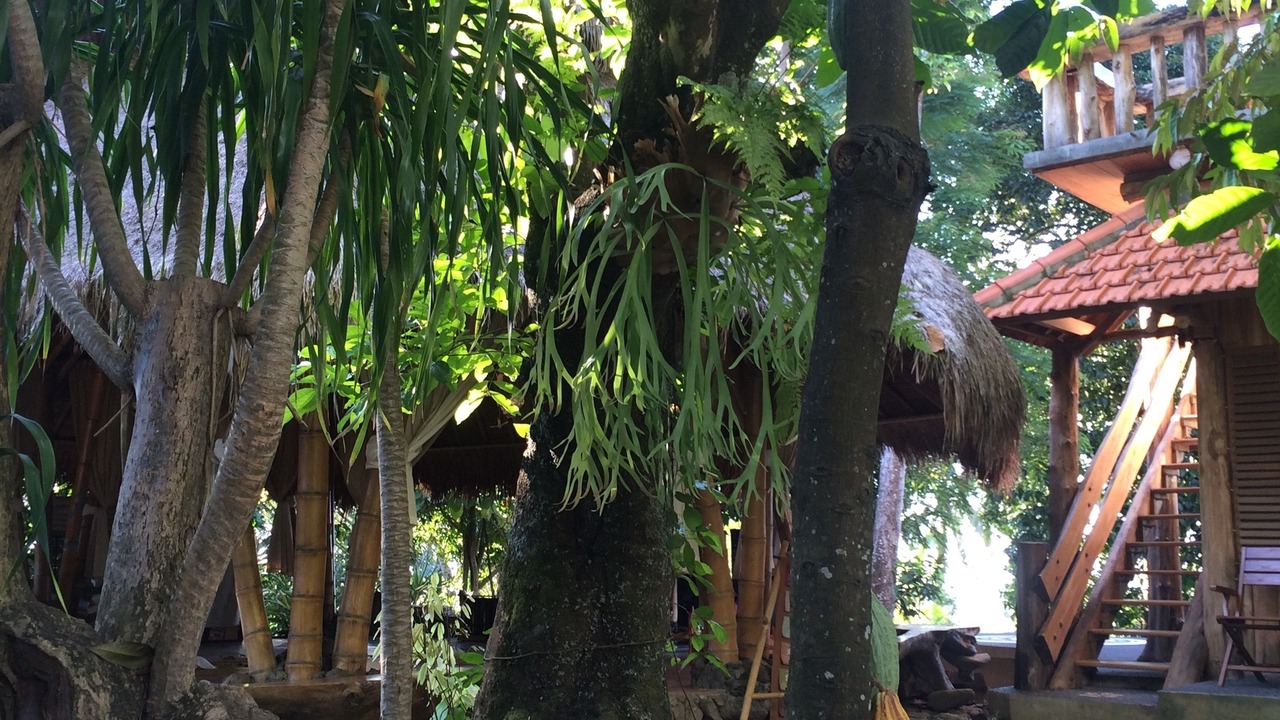 Photo of Outdoor in Buleleng