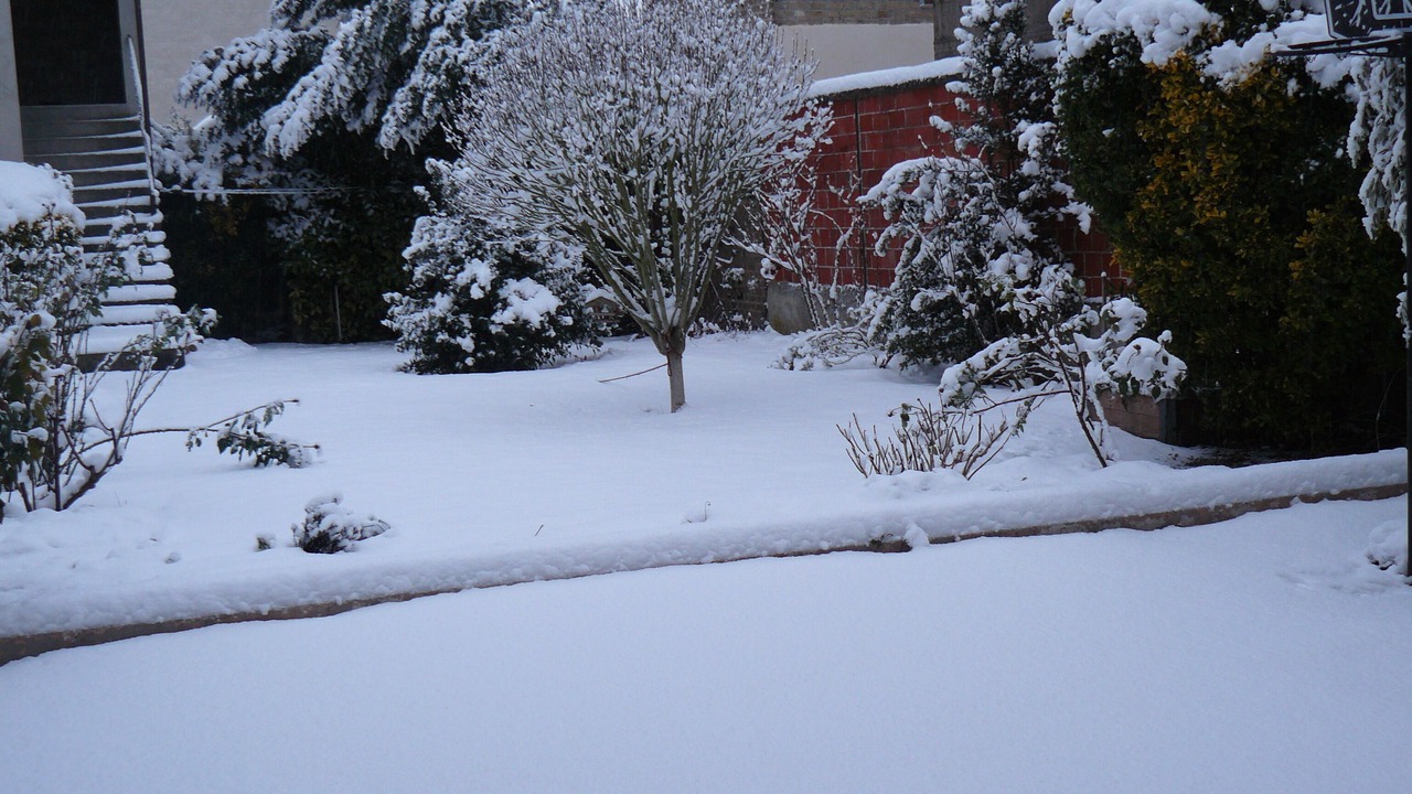 Photo of Others in Chalons-en-Champagne