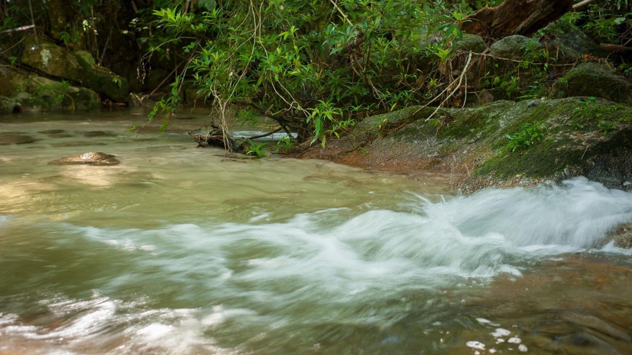 Photo of Outdoor in Ringlet