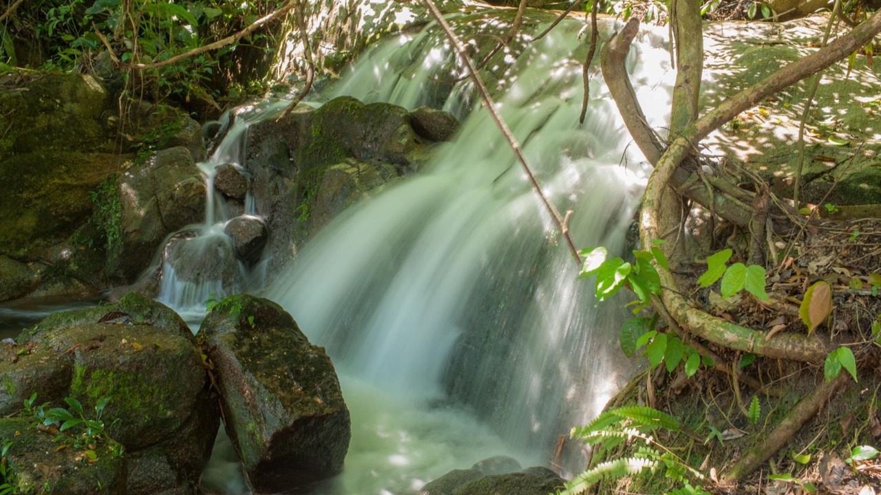 Photo of Outdoor in Ringlet
