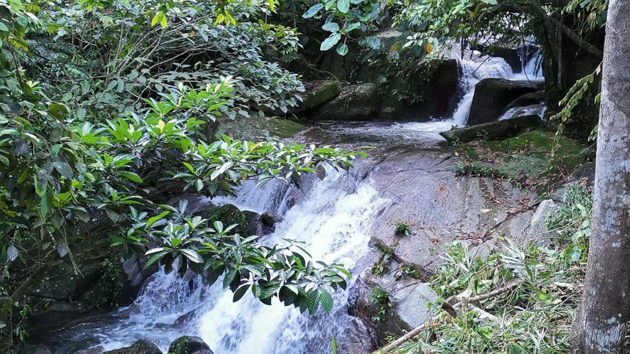 Photo of Patio Balcony in Ringlet