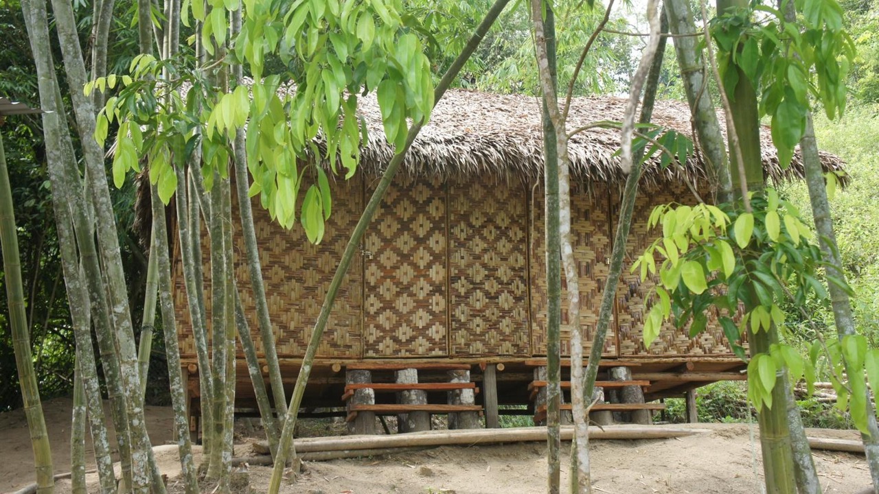 Photo of Outdoor in Ringlet
