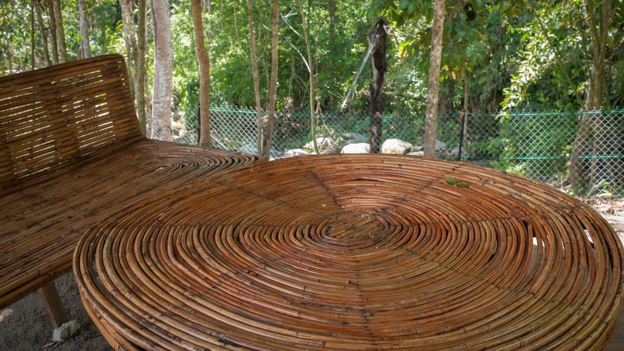 Photo of Outdoor in Ringlet