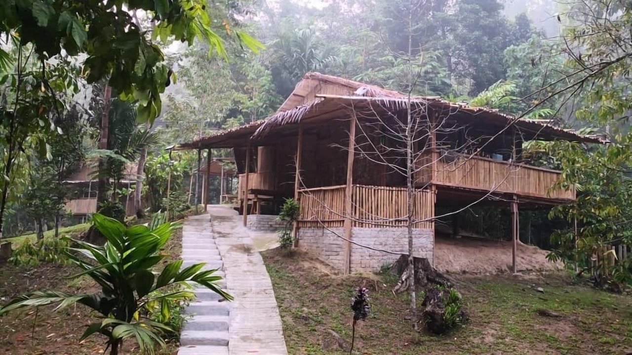 Photo of Others in Ringlet