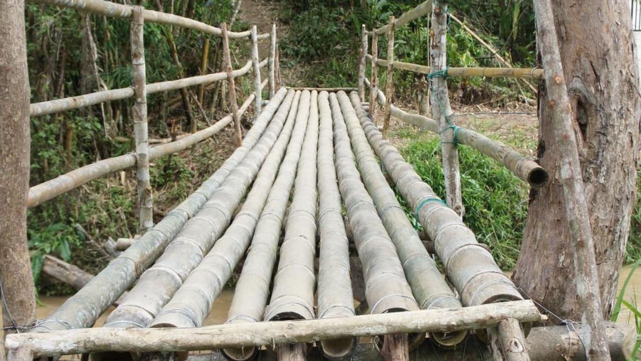 Photo of Outdoor in Ringlet