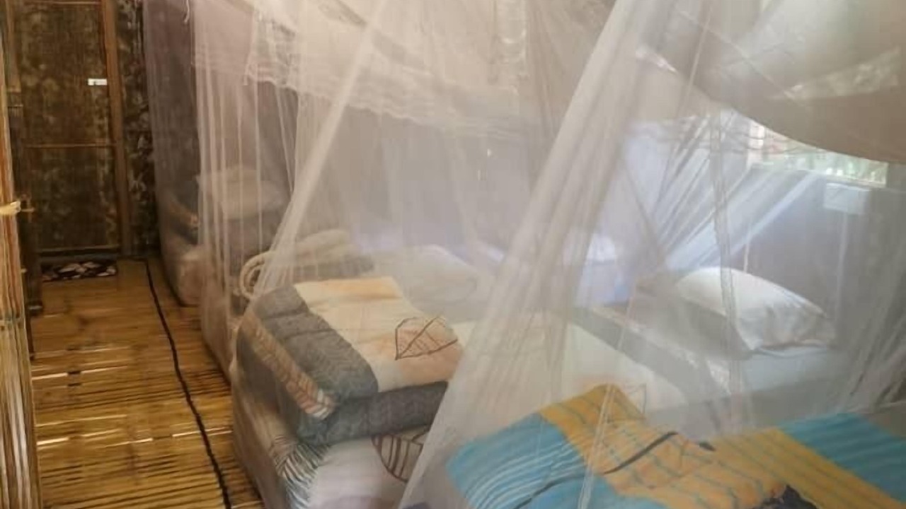 Photo of Others in Ringlet