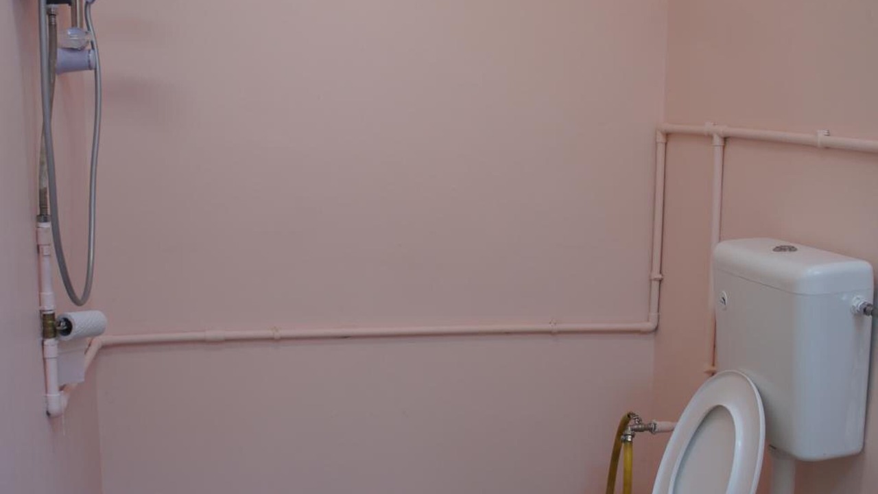 Photo of Others in Ringlet