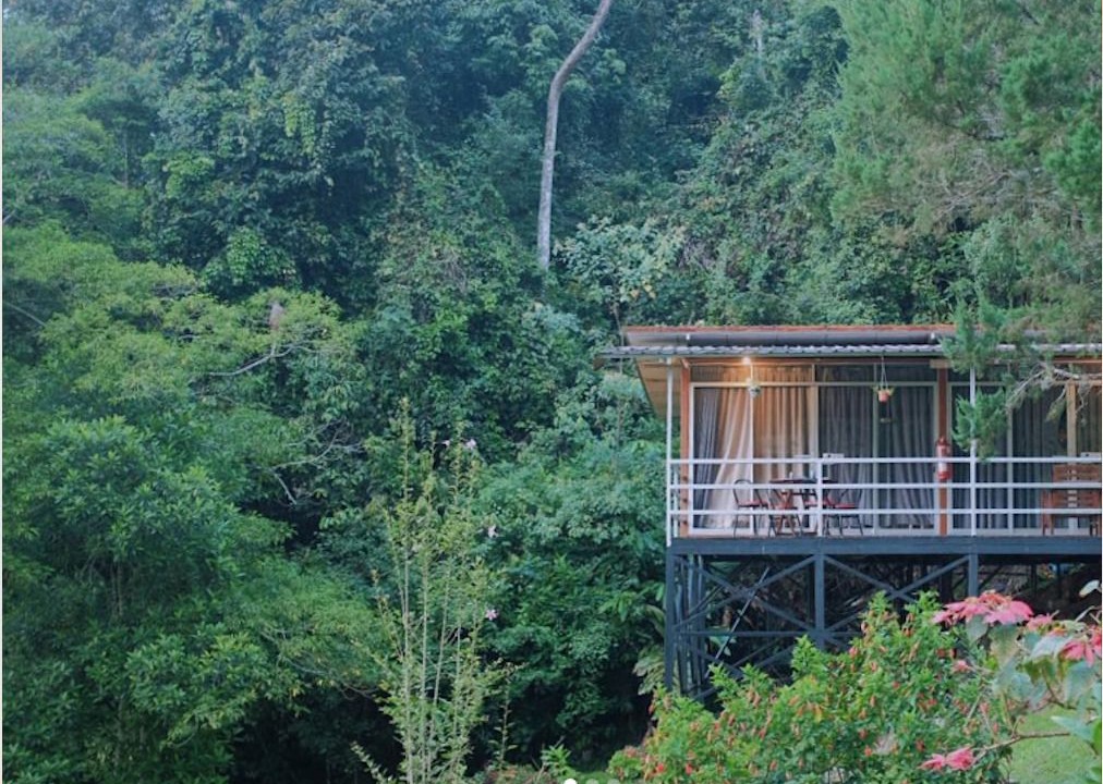 Photo of Others in Kinabalu Park