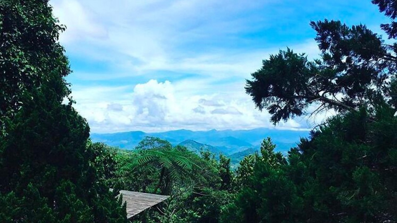 Photo of Others in Kinabalu Park