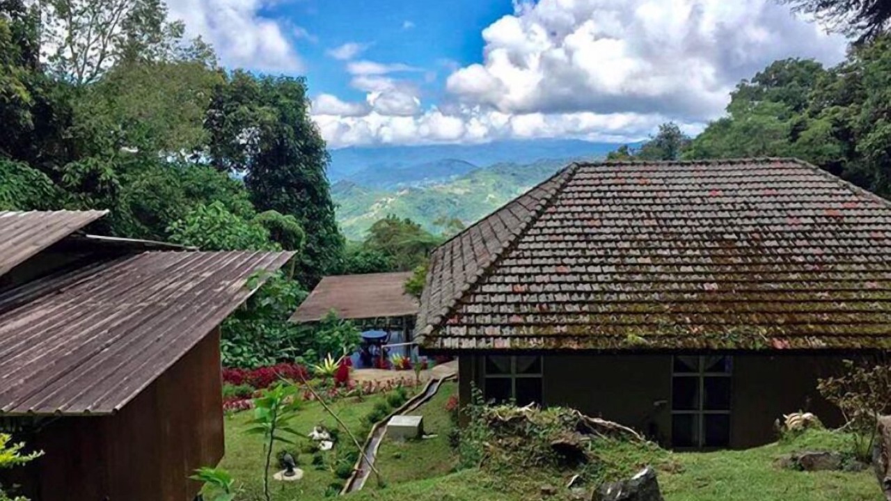 Photo of Outdoor in Kinabalu Park