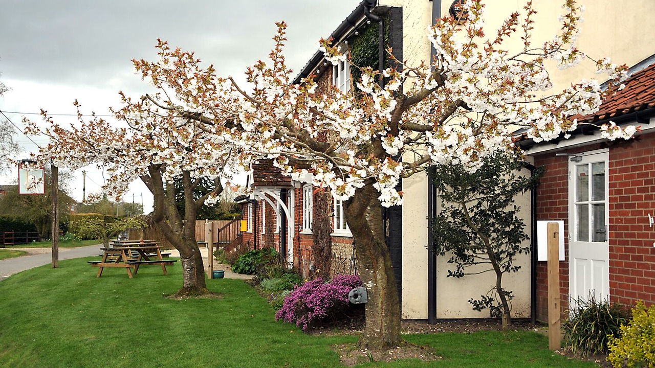 Photo of Outdoor in East Dereham