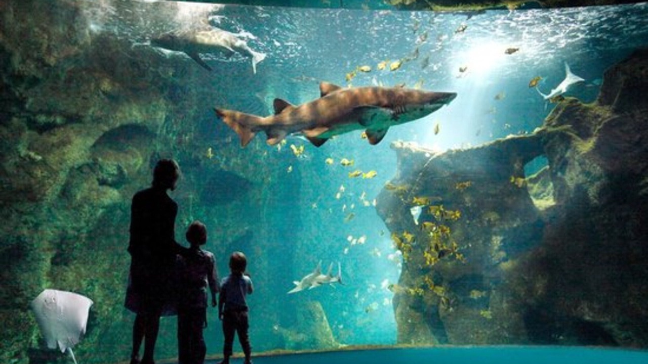 Photo of Others in Quartier du Casino