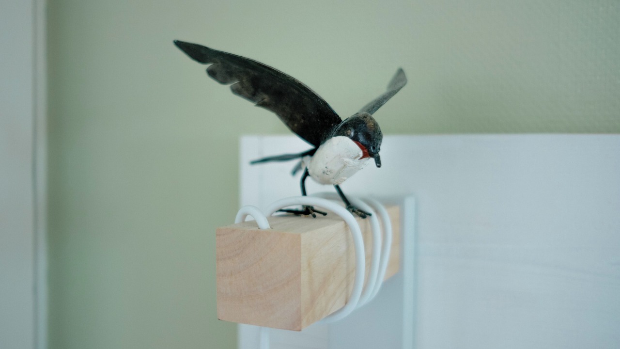 Photo of Others in Quartier du Casino