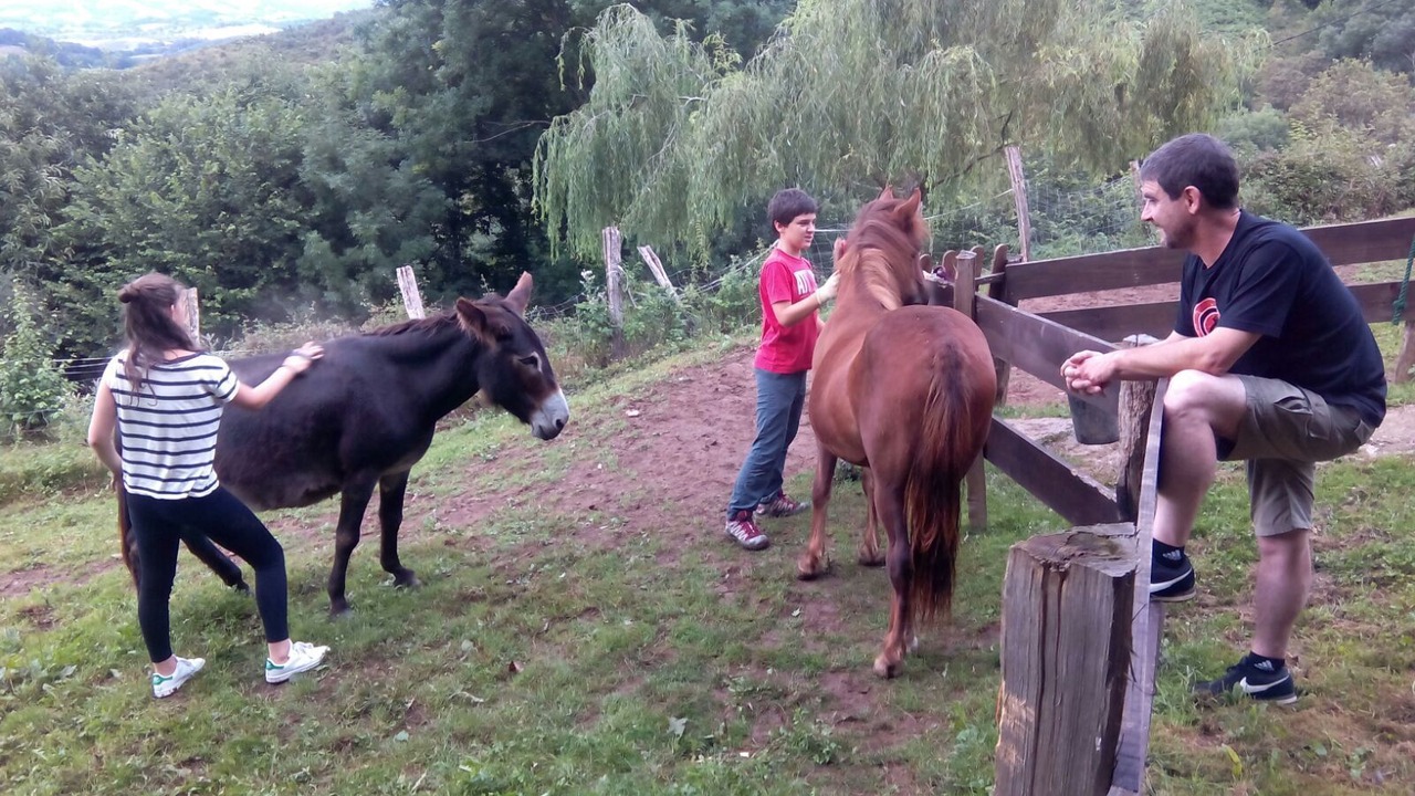 Photo of Outdoor in Baztan