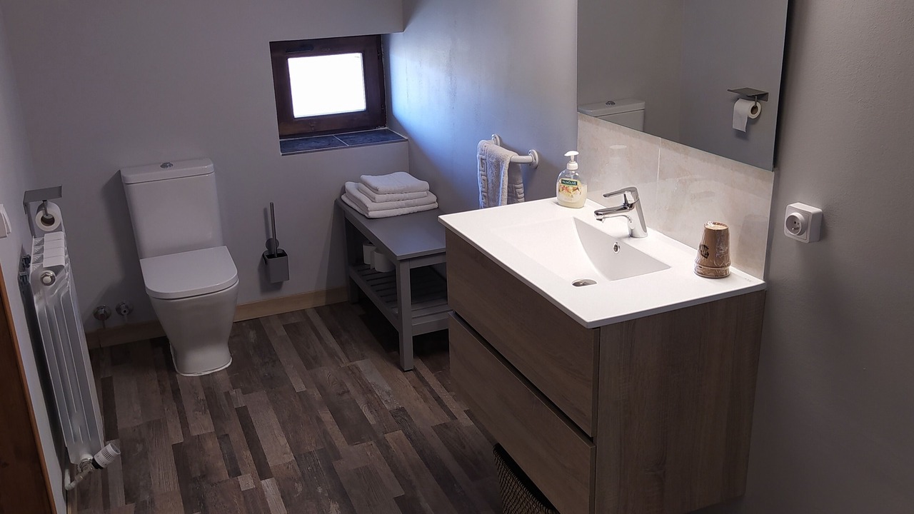 Photo of Bathroom in Baztan