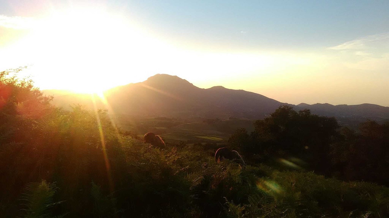 Photo of Outdoor in Baztan