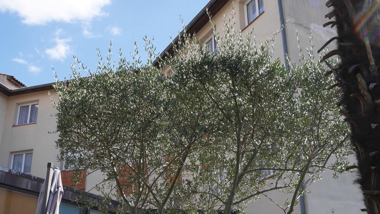 Photo of Outdoor in Portet-sur-Garonne