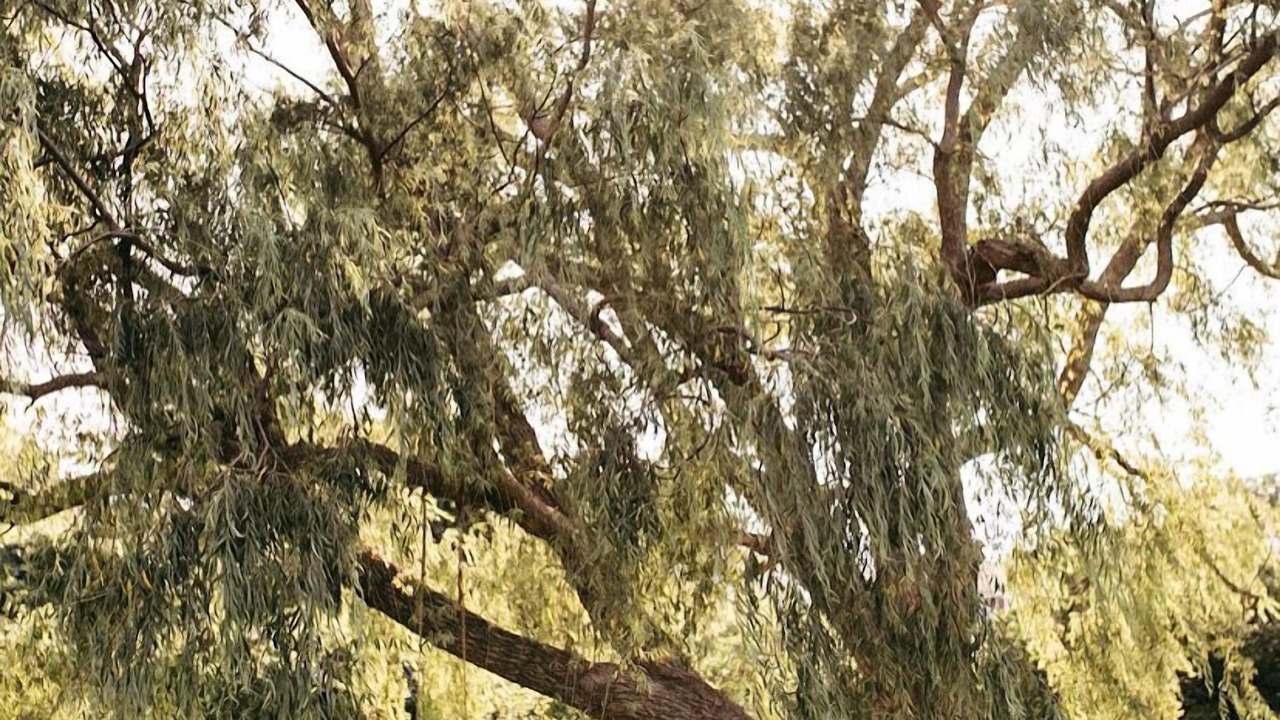 Photo of Outdoor in Block Island