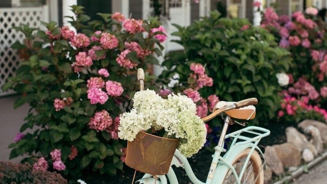 Photo of Outdoor in Block Island