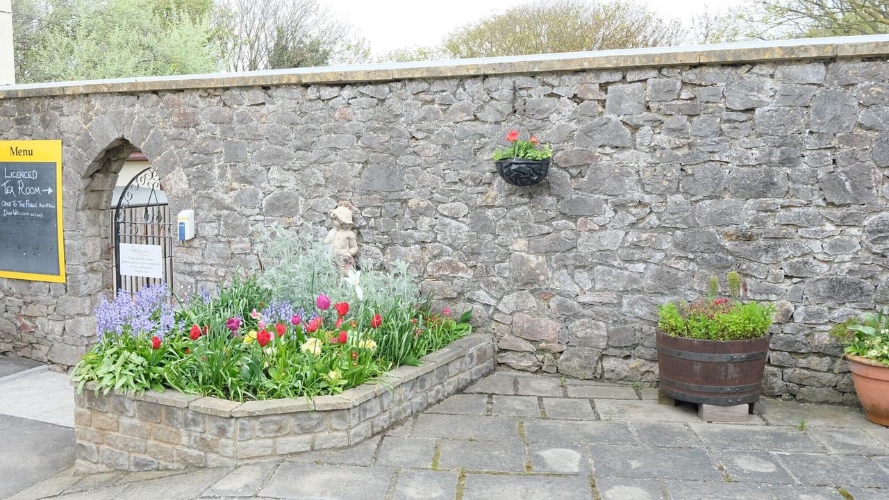 Photo of Outdoor in Brean