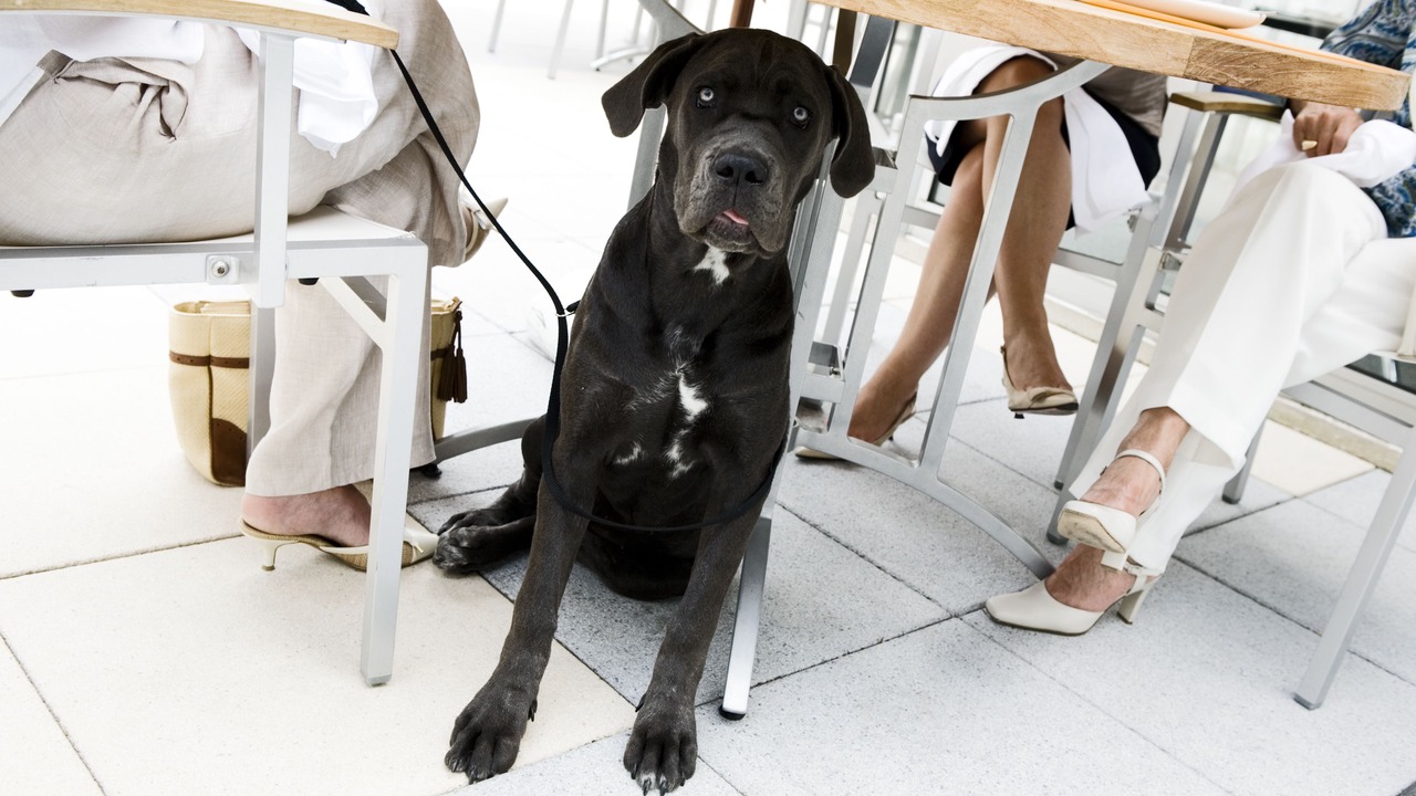 Photo of Others in Derbyshire