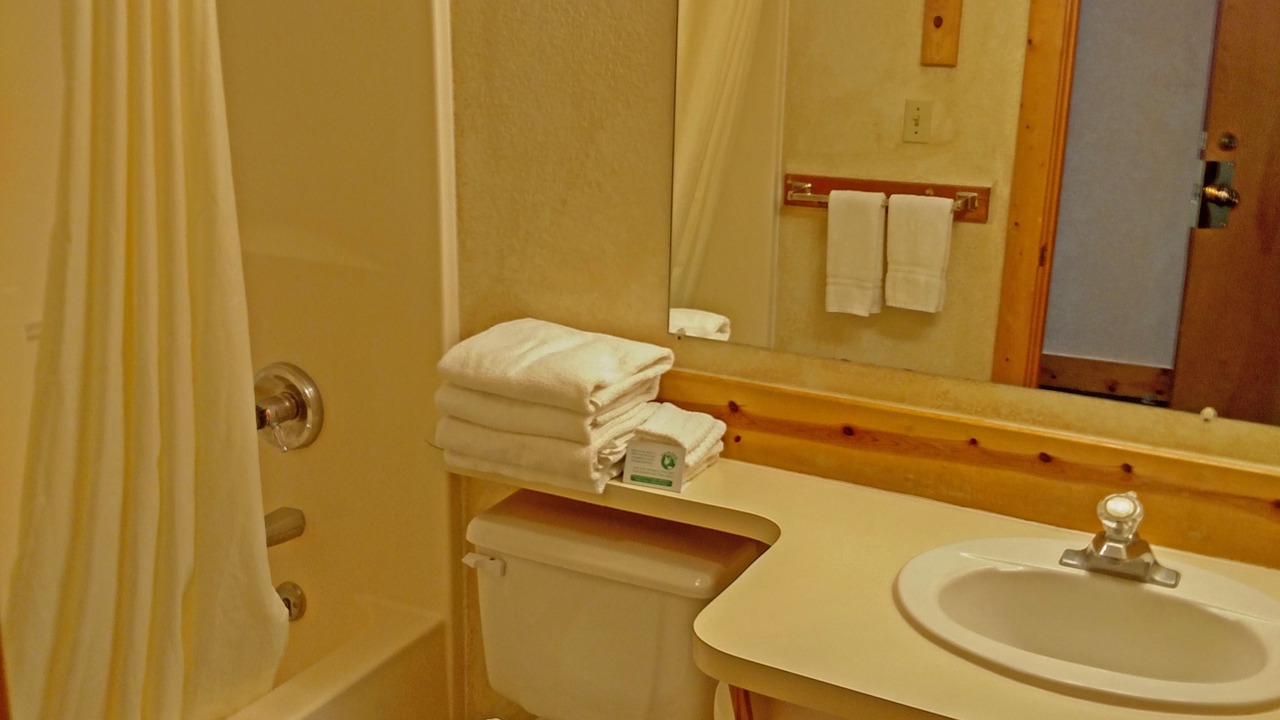 Photo of Bathroom in Centennial