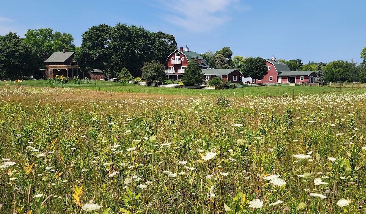 Photo of Outdoor in Sturgeon Bay