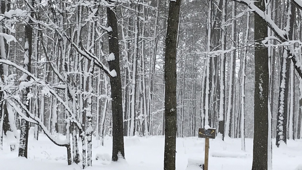 Photo of Others in Sturgeon Bay