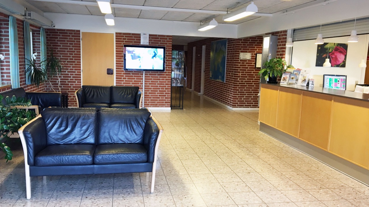 Photo of Others in Ribe