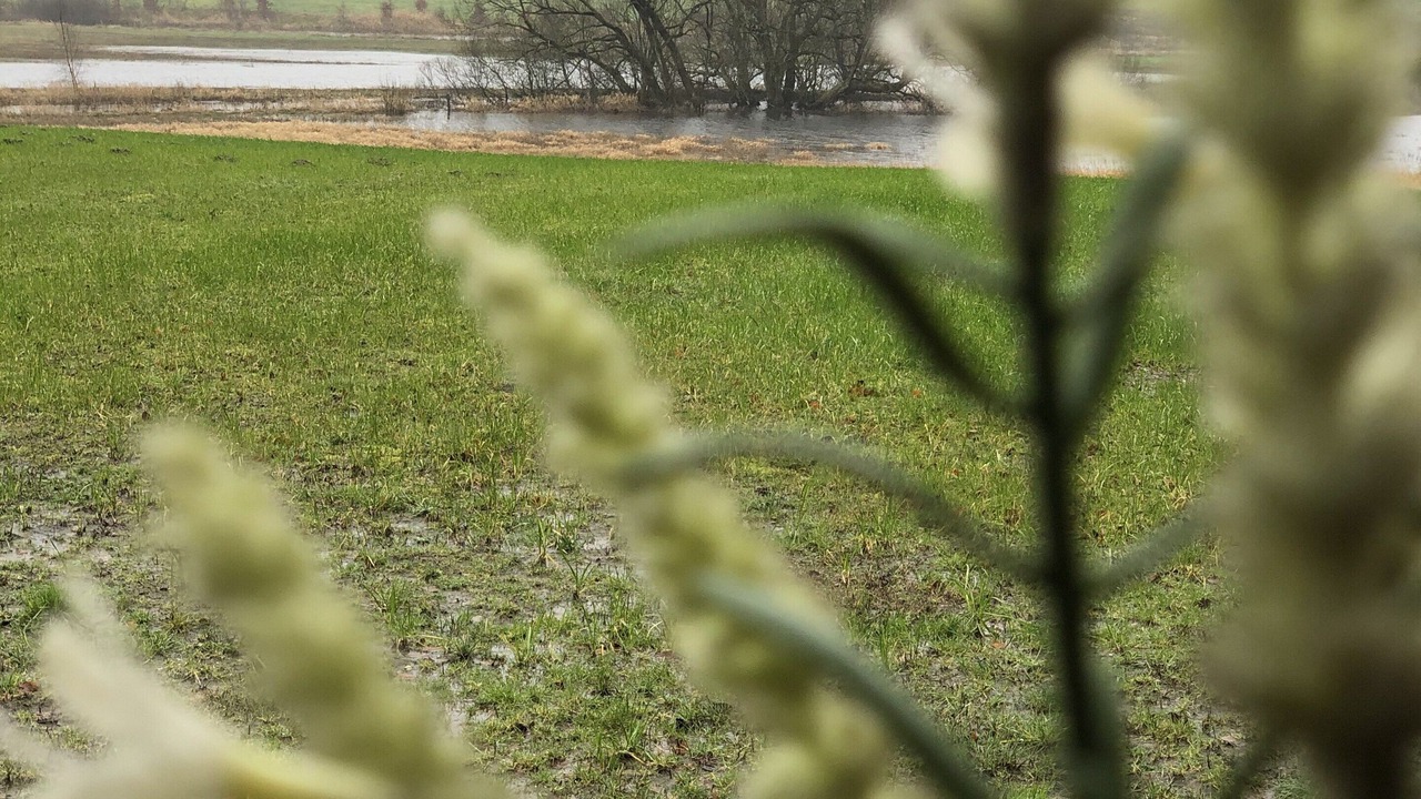 Photo of Outdoor in Tistrup