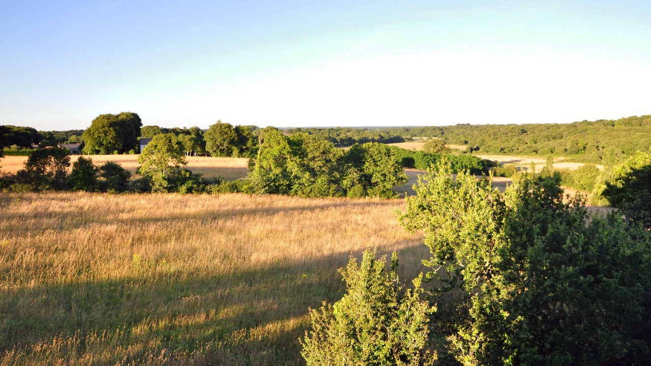 Photo of Outdoor in Pornic