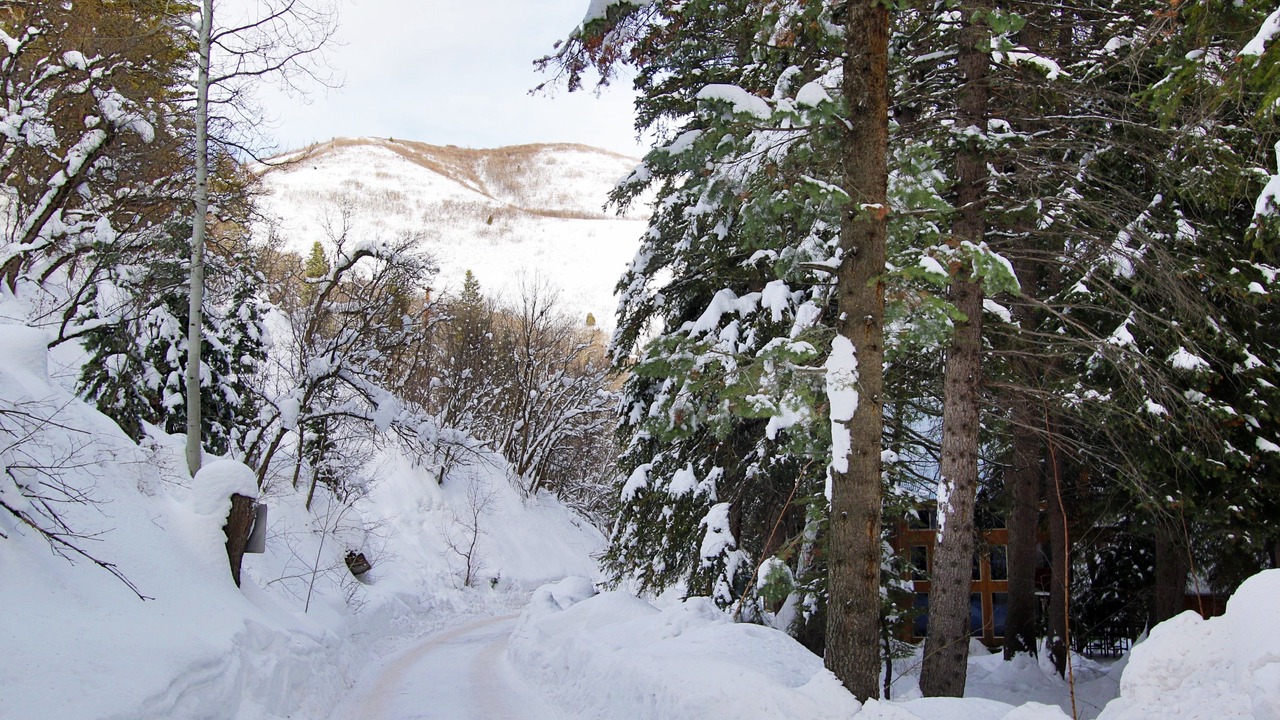Photo of Others in Sundance