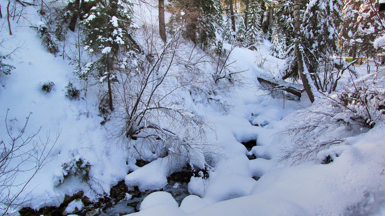 Photo of Others in Sundance