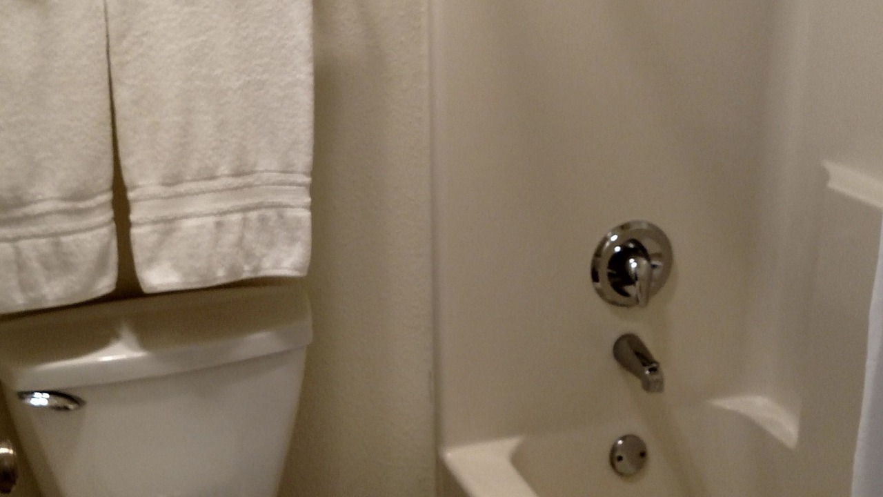 Photo of Others in Woodland