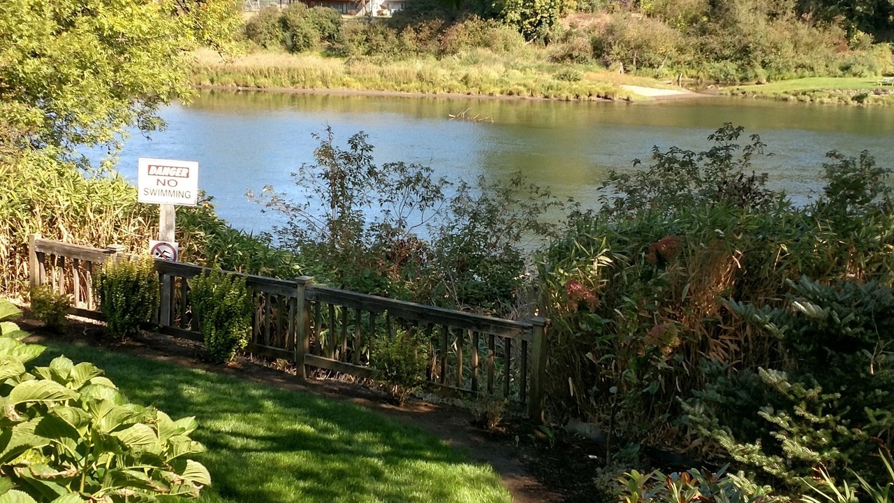 Photo of Others in Woodland