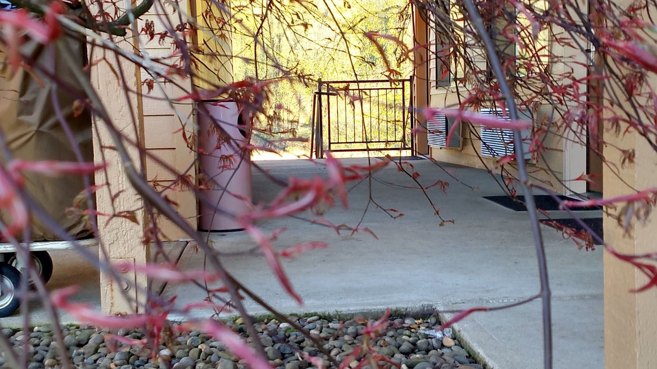 Photo of Outdoor in Woodland