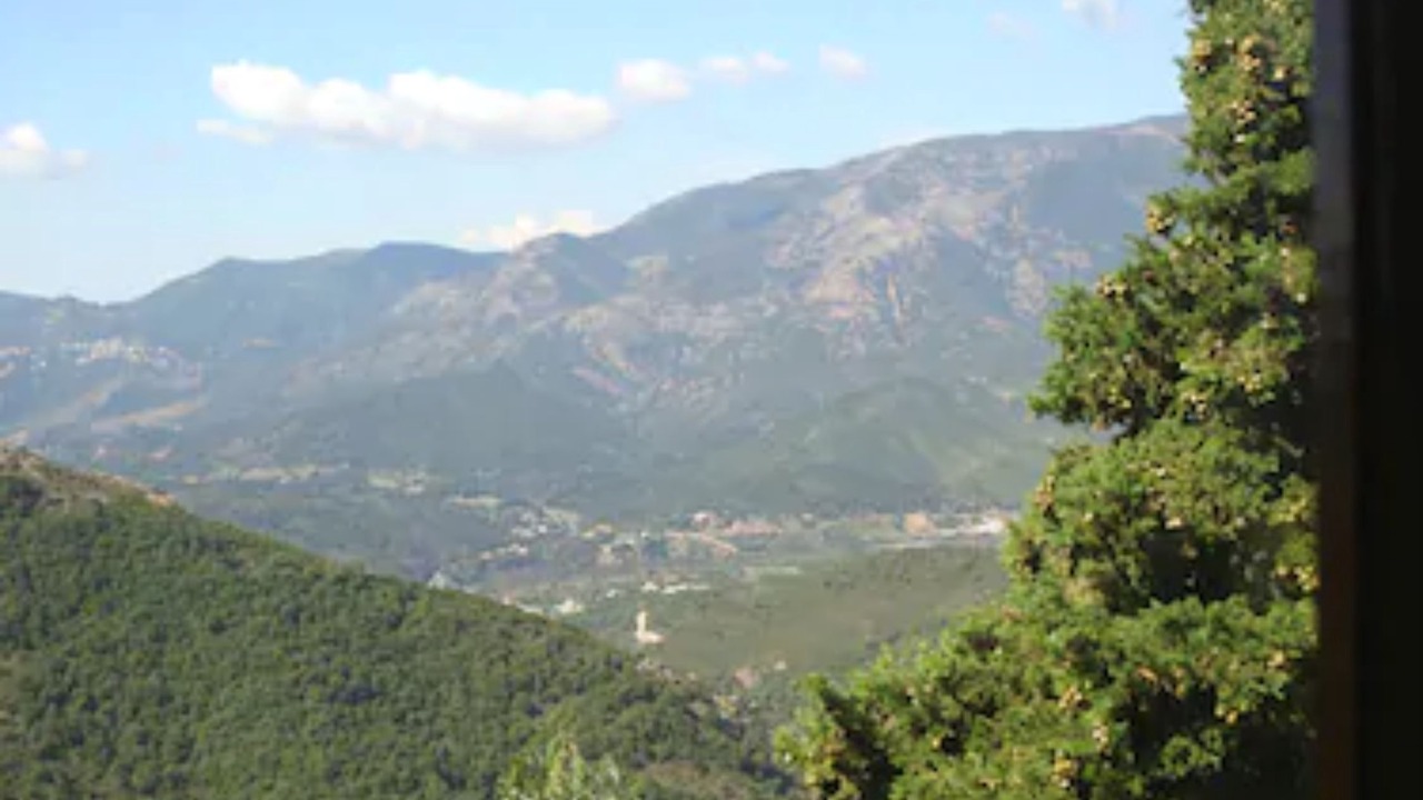Photo of Bedroom in Cuttoli-Corticchiato